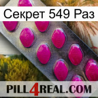 Секрет 549 Раз 09